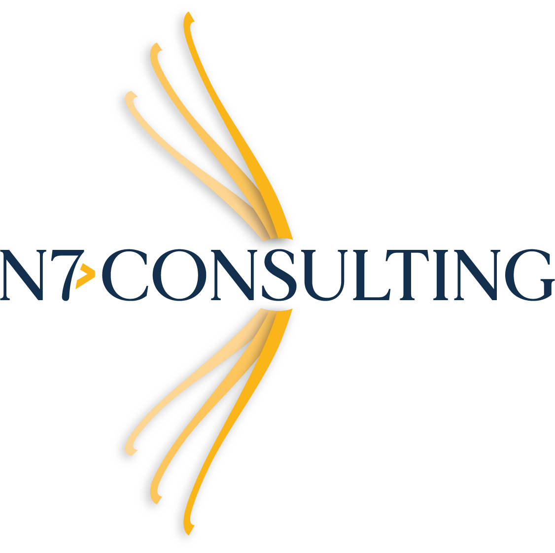 N7 Consulting